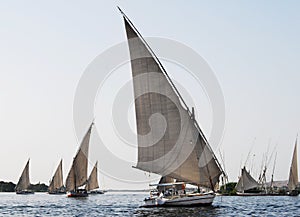 Sail boats on the Nile river in Egypt