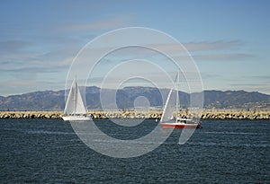 Sail boats off Los Angeles coastline