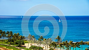 Sail Boats in the Pacific Ocean just off the coast at Ko Olina