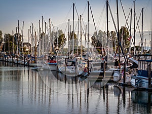 Sail boats and yachts anchored in marina