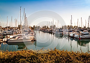 Sail boats and yatchs anchored in marina