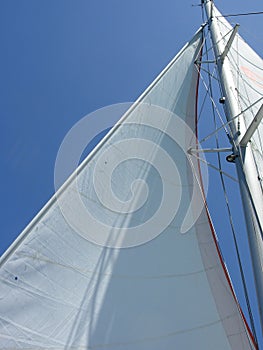 Sail of a catamaran