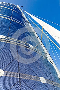 Sail of a Catamaran sailing boat against clear blue sky