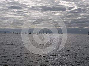 Sail regatta in Naples