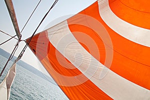 Sail of a sailing boat