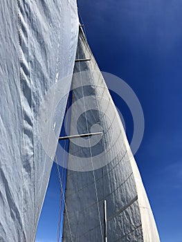 Sail on sailing yacht at windy sunny day
