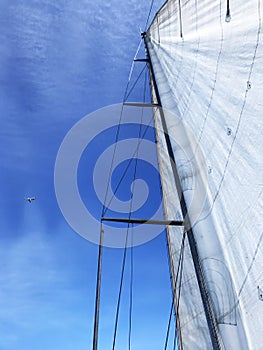 Sail on sailing yacht at windy sunny day