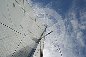 Sail, sky, yacht. Ob reservoir, Novosibirsk, Siberia, Russia.