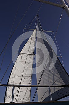 Sail white yachts in the sea against the blue sky