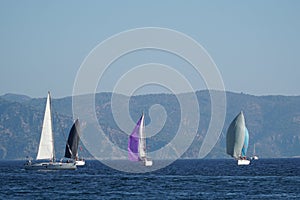 Sail Yacht racing in the Mediterranean sea in Turkey. Several sailing yachts