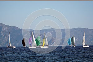 Sail Yacht racing in the Mediterranean sea in Turkey. Several sailing yachts in a beautiful bay.