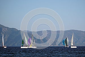 Sail Yacht racing in the Mediterranean sea in Turkey. Several sailing yachts in a beautiful bay.