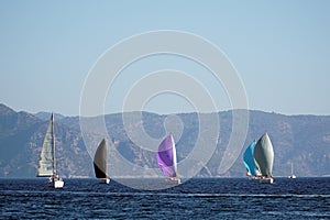 Sail Yacht racing in the Mediterranean sea in Turkey. Several sailing yachts in a beautiful bay.