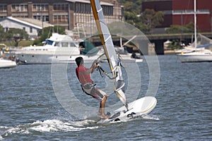 Sailboarder