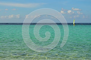 Sailboarder on the Ocean