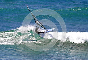 Sailboarder Windsurfing a Wave in Hawaii