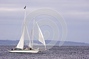 Sailboat