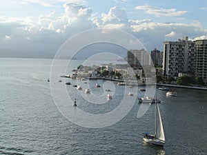 Sailboat arriving Santos Port (Brazil)