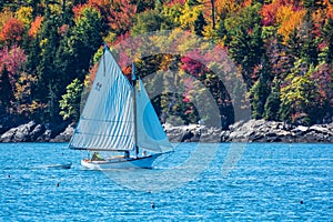 Sailboat in autumn in coastal Maine, New England