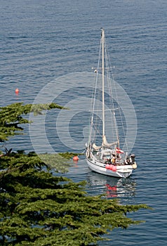 Sailboat in the bay