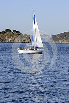 Sailboat in the bay