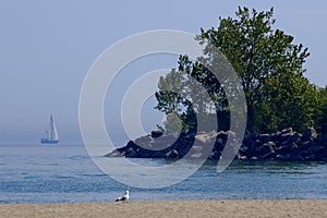 Sailboat By Beach Coastline