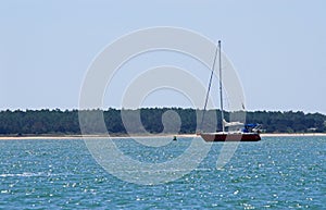 Sailboat in blue sea