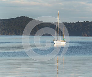 Sailboat Docked in the Water