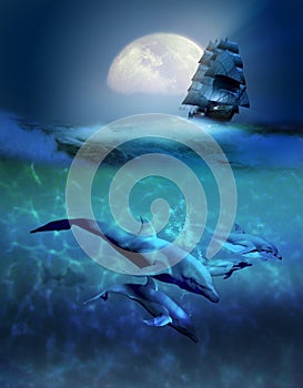 Sailboat and dolphins