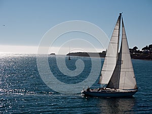 Sailboat gliding on calm sea