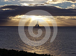 Sailboat gliding at sunset