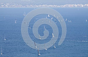 Sailboat group regatta race