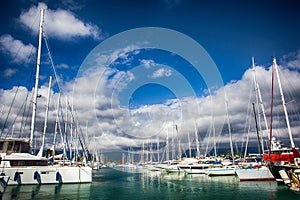 Sailboat harbor, many moored sail yachts in the sea port