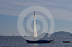 Junk rigged cruising sailboat.