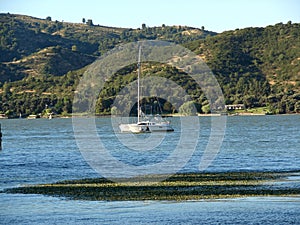 Sailboat in lake photo