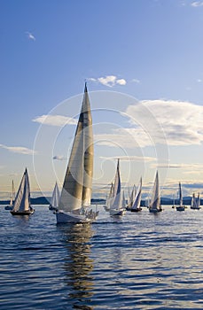 Sailboat in the Lead