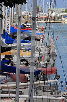 Sailboat Lineup in Marina