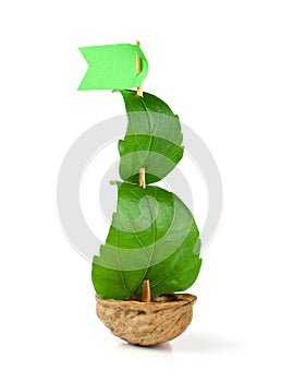 Sailboat made of walnut