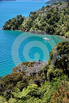 Sailboat in the Marlborough Sounds