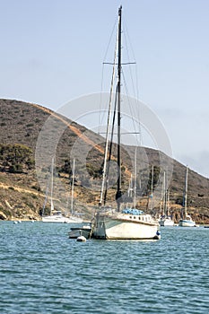 Sailboat Moored at Catalina Harbor