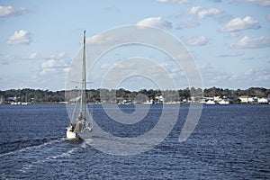 A sailboat moves across the water toward St Marys, Georgia in this view from the water photo