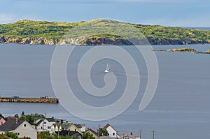 Sailboat navigates near Twillingate cliffs, seascape, landscape, Newfoundland, Atlantic Canada.