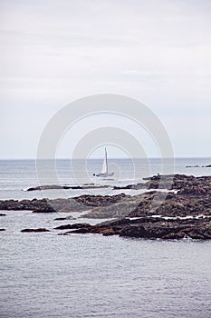 Sailboat near Oarweed Cove along the rocky coast of Maine in Ogunquit