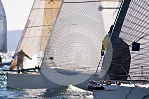 Sailboat Racing