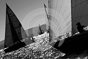 Sailboat Racing