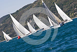 Sailboat Racing