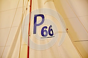 Sailboat Racing Numbers P66 Detail - Textured Sail Close-Up