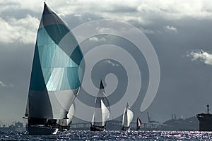 Sailboat Racing on Puget Sound, Seattle, Washington State