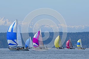 Sailboat Racing on Puget Sound, Seattle, Washington State