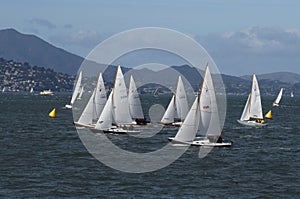 Sailboat Racing on San Francisco Bay
